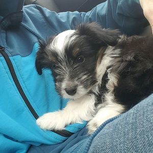 Meet your Posher, Brent